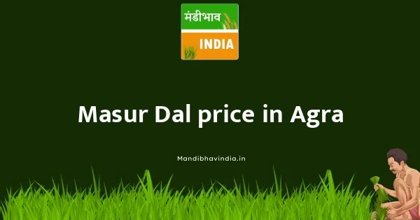 Masur Dal price